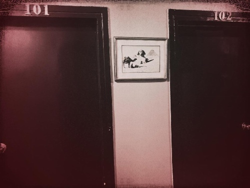 Wake Up! Cairo Hostel image 33